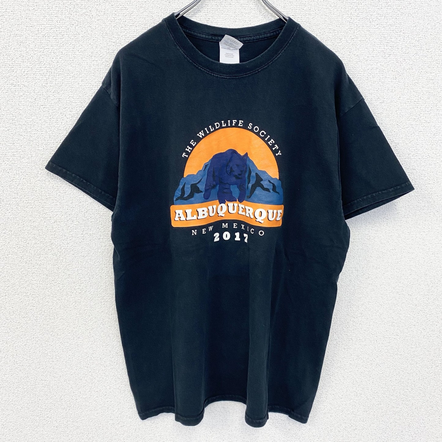 古着 used　GLDAN ギルダン　半袖グラフィックプリントTシャツ　クルーネック　黒　ブラック　Lサイズ