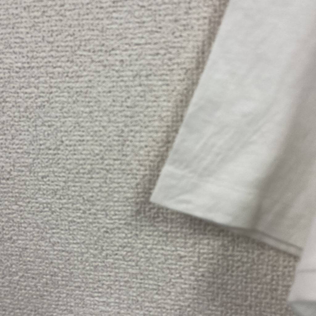 90s　Hanes　ヘインズ　半袖プリントTシャツ　ヴィンテージ　シングルステッチ　白　ホワイト　Lサイズ