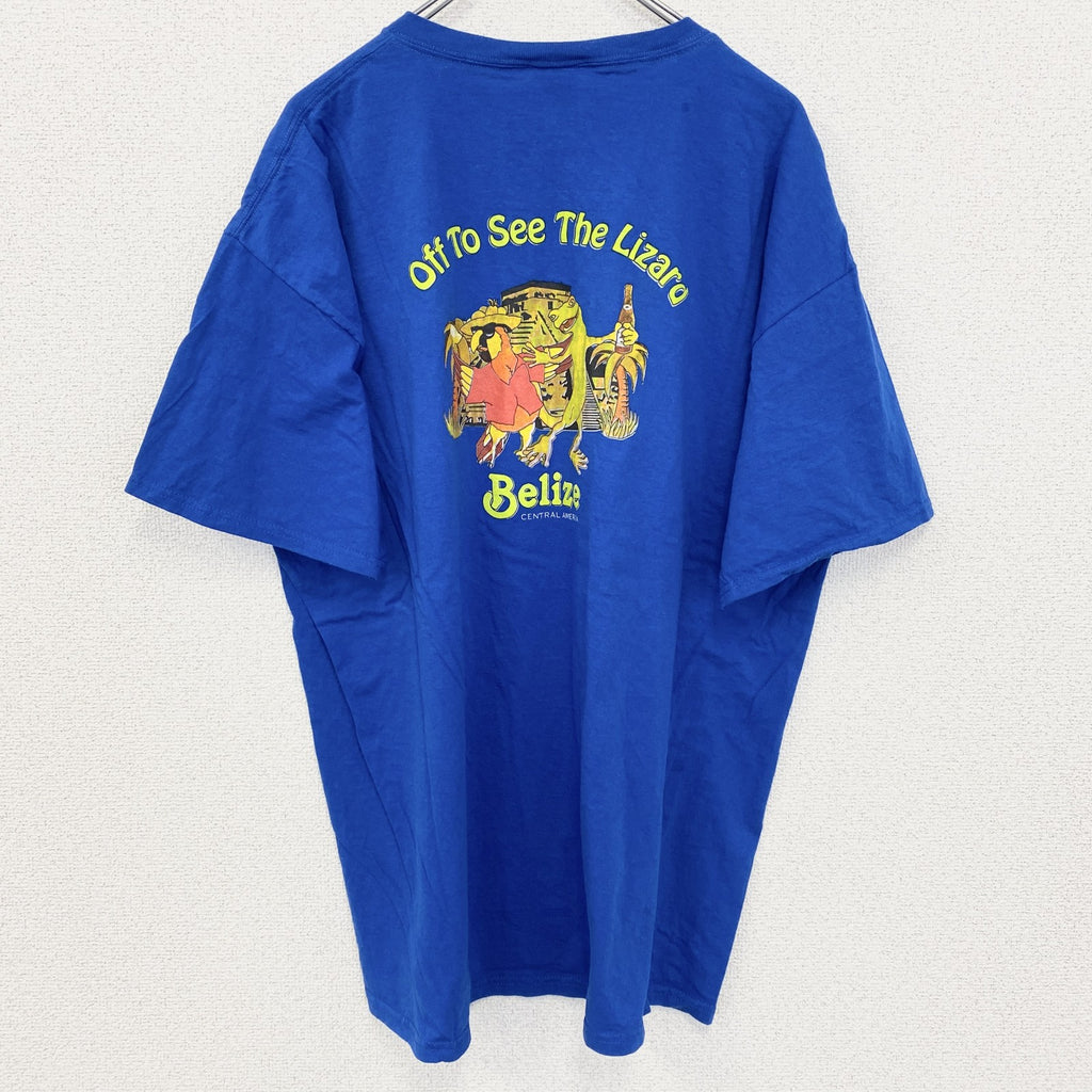FRUIT OF THE LOOM　半袖アニマルプリントTシャツ　アーチプリント　デカロゴ　両面プリント 　青　ブルー　XLサイズ