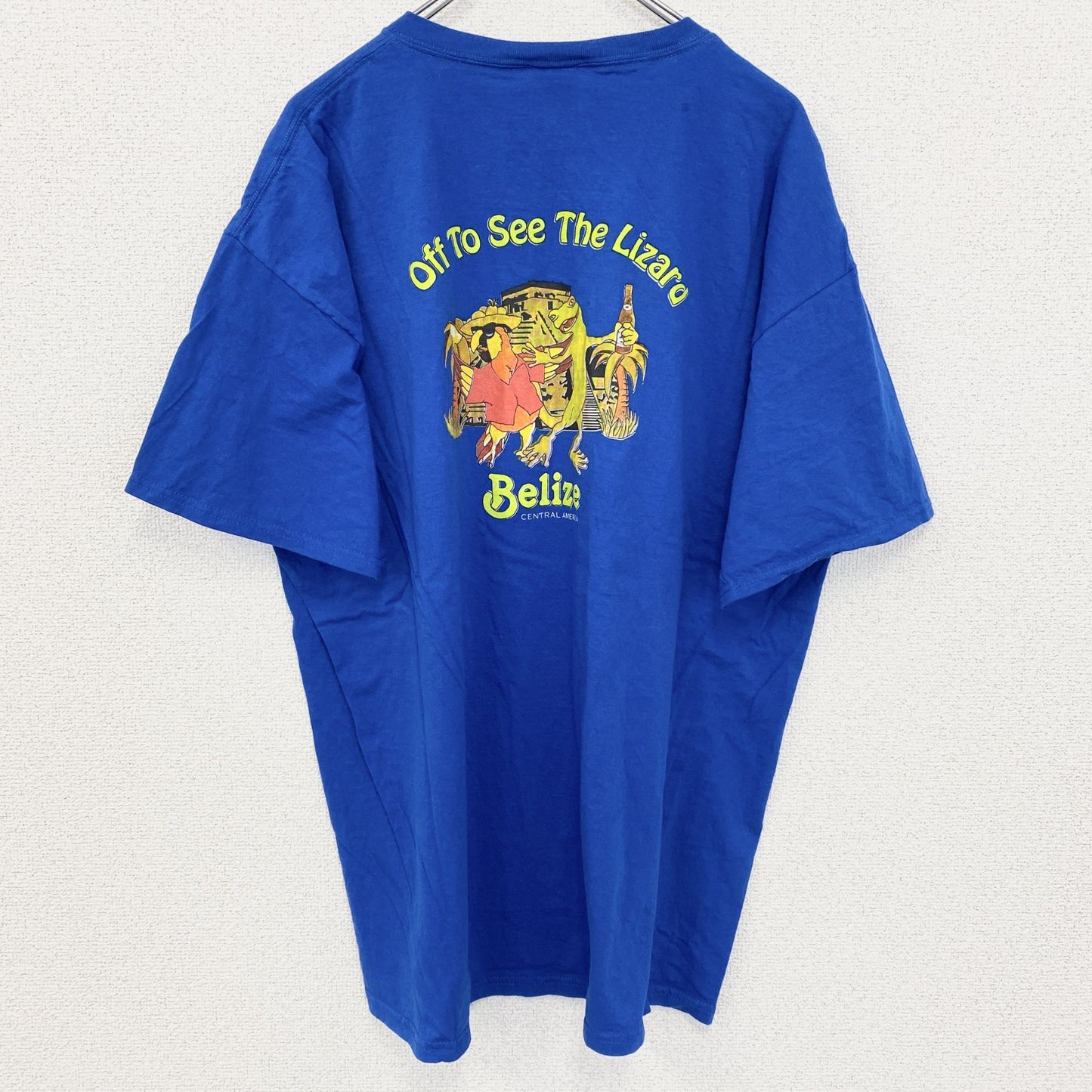 FRUIT OF THE LOOM　半袖アニマルプリントTシャツ　アーチプリント　デカロゴ　両面プリント 　青　ブルー　XLサイズ