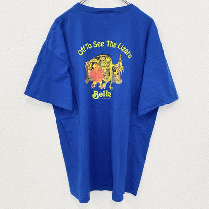 FRUIT OF THE LOOM　半袖アニマルプリントTシャツ　アーチプリント　デカロゴ　両面プリント 　青　ブルー　XLサイズ