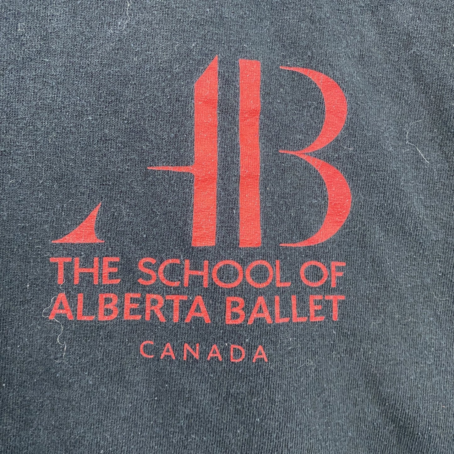 GILDAN　ギルダン　Alberta Ballet　半袖プリントTシャツ　黒　ブラック　Mサイズ