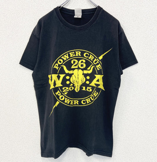 古着 used　FRUIT OF THE LOOM　半袖プリントTシャツ　POWER CURE　クルーネック　レトロ　Lサイズ