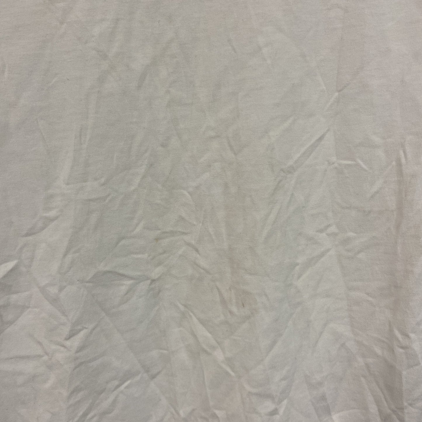 ONEITA　オニータ　半袖プリントTシャツ　白　ホワイト　Mサイズ