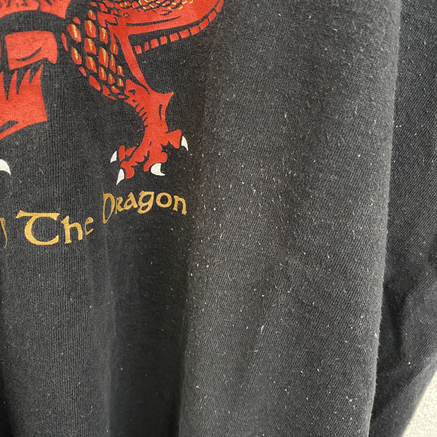 FRUIT OF THE LOOM　半袖プリントアニマルTシャツ　レッドドラゴン　英字プリント　クルーネック　黒　ブラック　XLサイズ