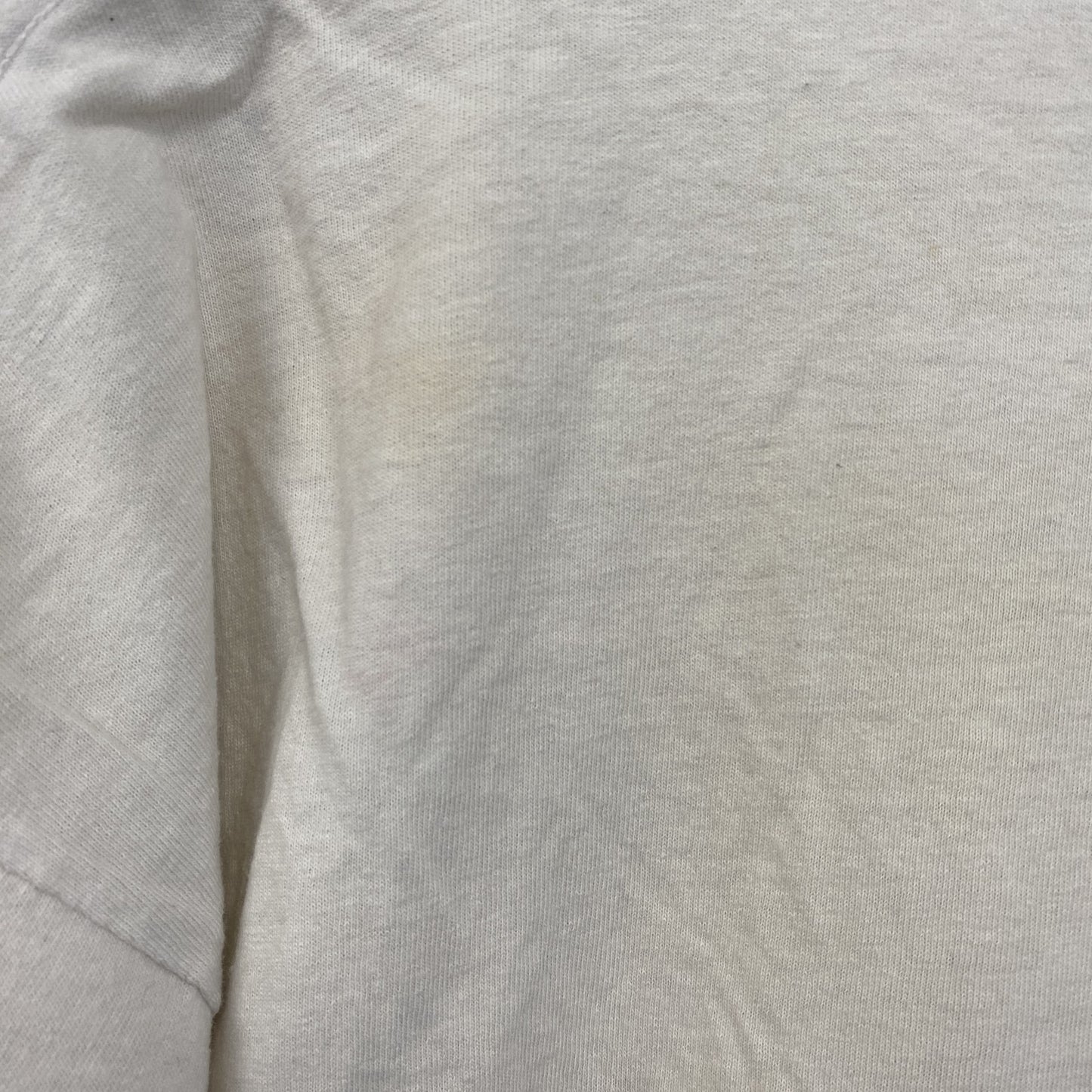 古着 used　FRUIT OF THE LOOM　半袖プリントTシャツ　ドラゴン　クルーネック　白　ホワイト　レトロ　Lサイズ