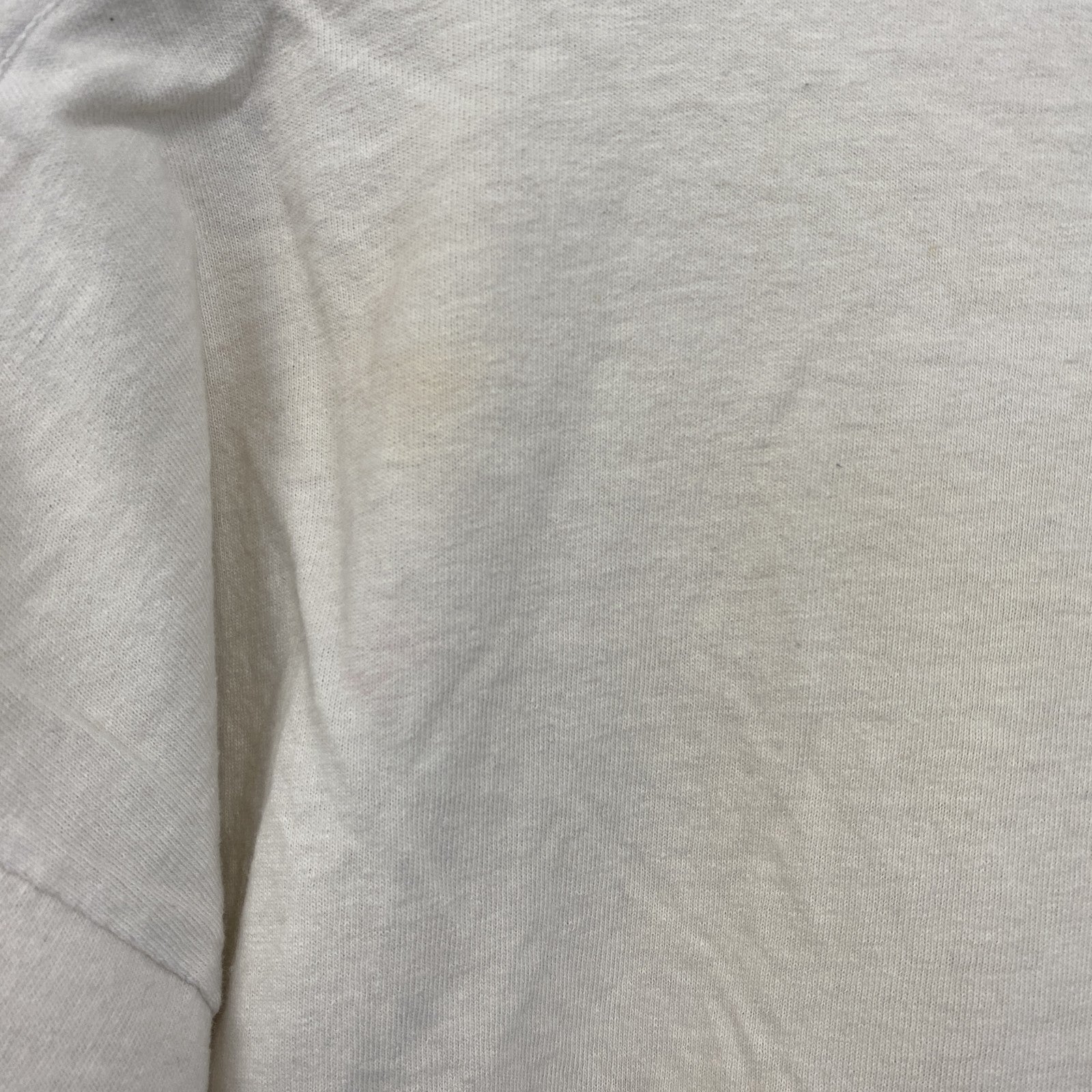 古着 used　FRUIT OF THE LOOM　半袖プリントTシャツ　ドラゴン　クルーネック　白　ホワイト　レトロ　Lサイズ