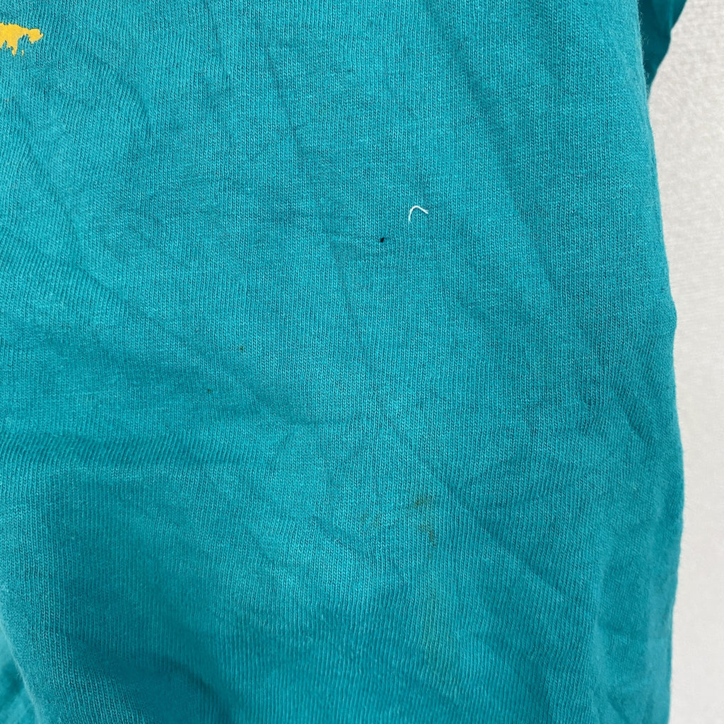 90s　FRUIT OF THE LOOM　フルーツオブザルーム　半袖プリントTシャツ　シングルステッチ　水色　ライトブルー　Mサイズ