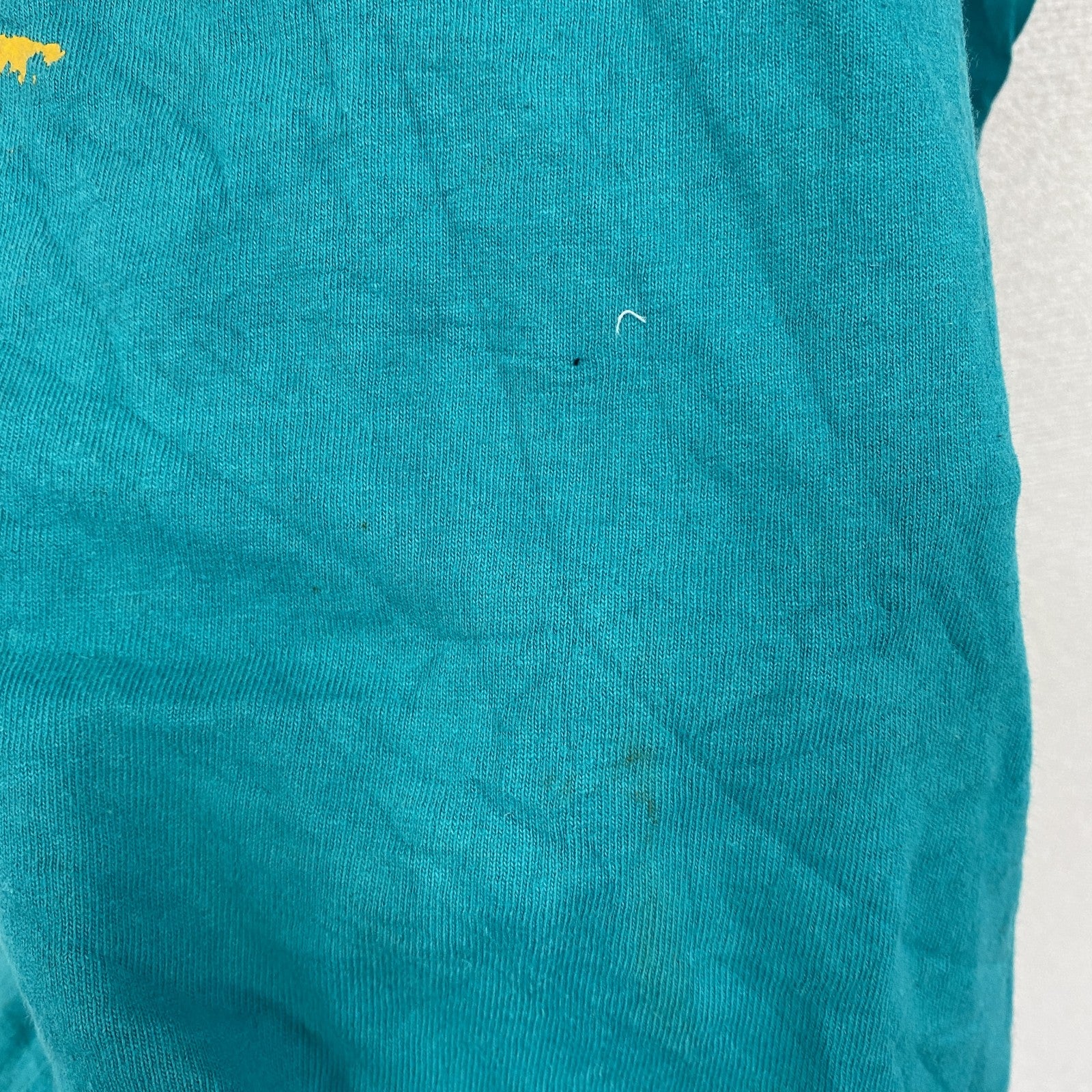 90s　FRUIT OF THE LOOM　フルーツオブザルーム　半袖プリントTシャツ　シングルステッチ　水色　ライトブルー　Mサイズ