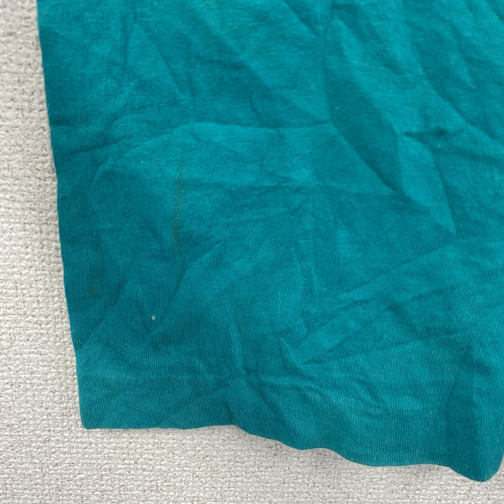 90s　FRUIT OF THE LOOM　フルーツオブザルーム　半袖プリントTシャツ　シングルステッチ　水色　ライトブルー　Mサイズ