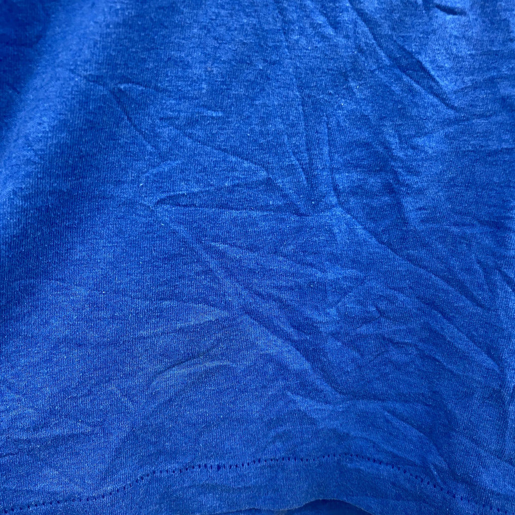 90s　BEST　Fruit of the Loom　半袖プリントTシャツ　シングルステッチ　ヴィンテージ　青　ブルー　XLサイズ
