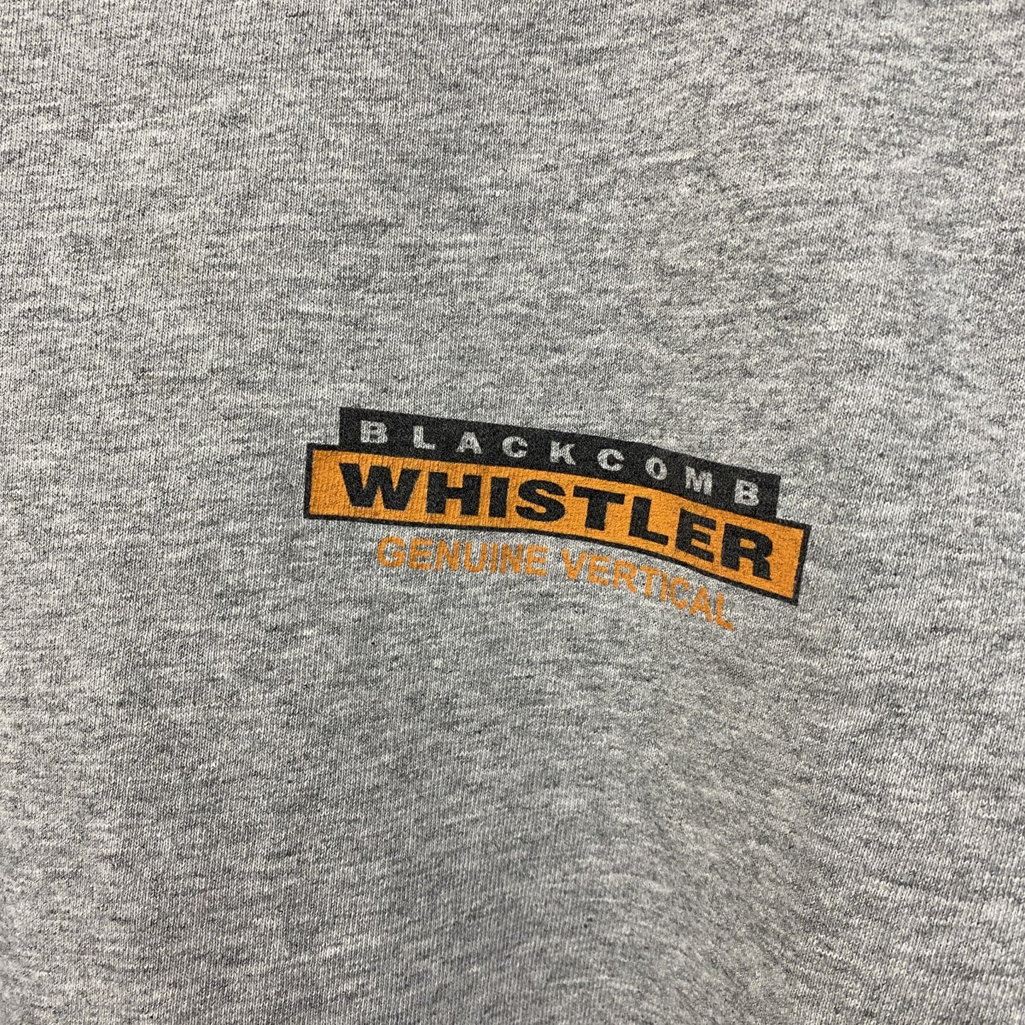 古着 used　FRUIT OF THE LOOM フルーツオブザルーム　半袖ワンポイントTシャツ　バックプリント　グレー　M