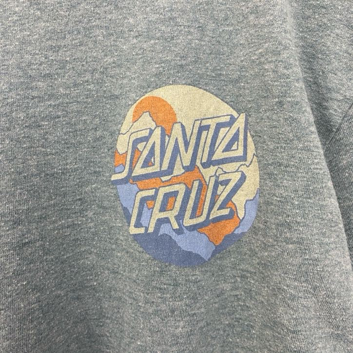 古着 used　SANTA CRUZ　サンタクルズ　半袖プリントTシャツ　バックプリント　レトロデザイン　ライトブルー　水色　青