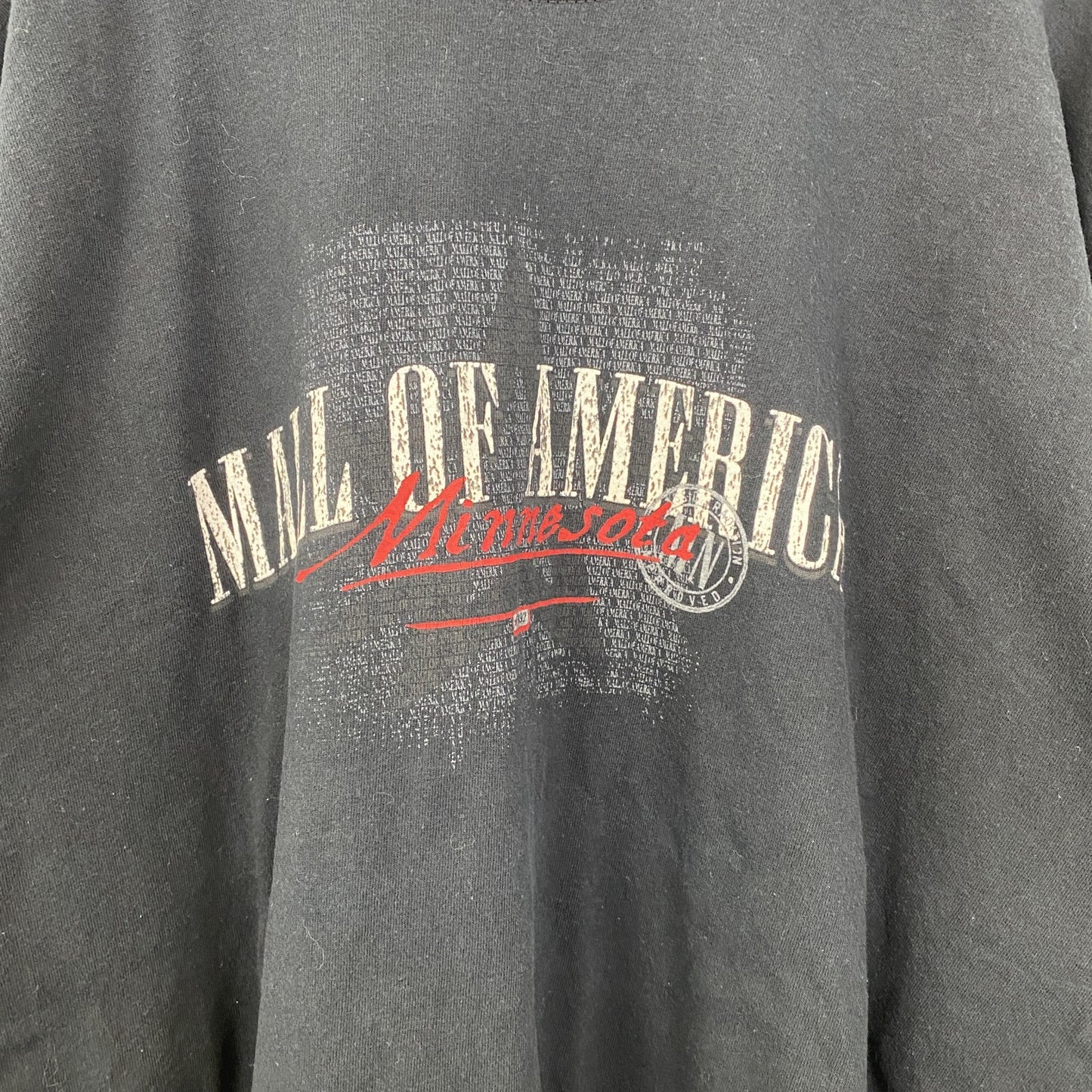 古着 used　半袖ビッグプリントTシャツ　レトロデザイン　AMERICA　アメリカ　クルーネック　黒　ブラック