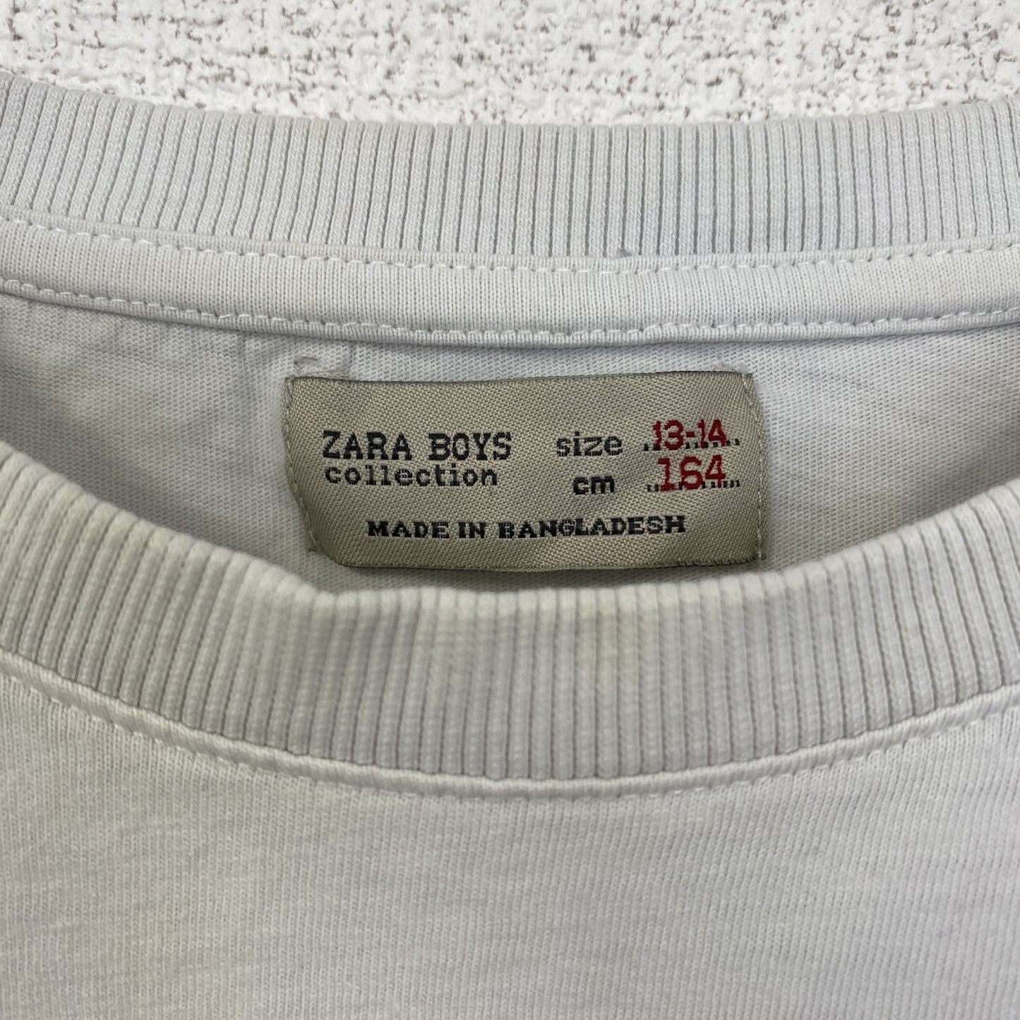 古着 used　ZARA BOYS　長袖アニマルプリントTシャツ　犬　レトロデザイン　クルーネック　白　ホワイト