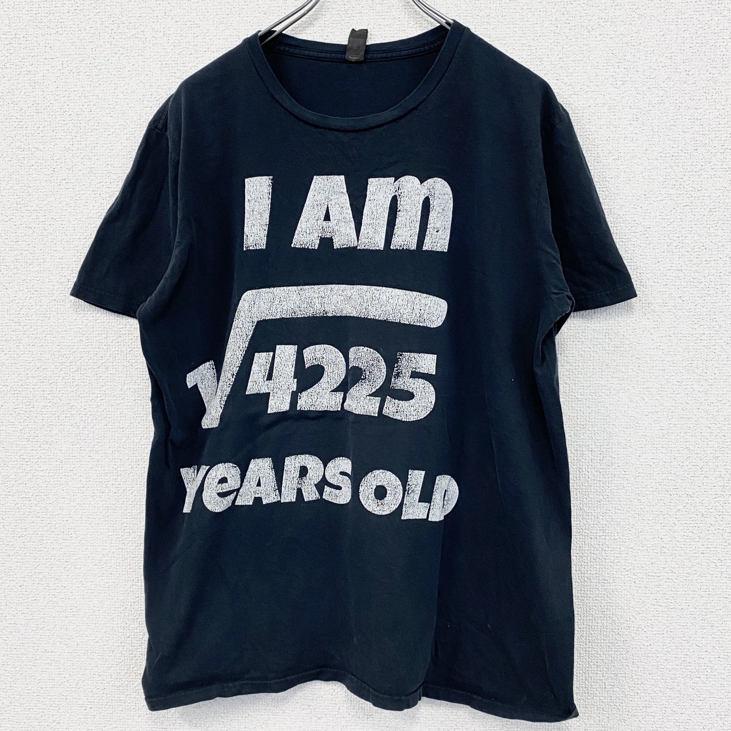 ANVIL　アンヴィル　半袖プリントTシャツ　年齢T　ルート　4連プリント　黒　ブラック　Lサイズ