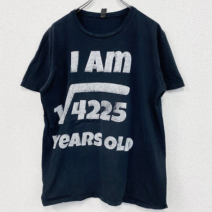 ANVIL　アンヴィル　半袖プリントTシャツ　年齢T　ルート　4連プリント　黒　ブラック　Lサイズ