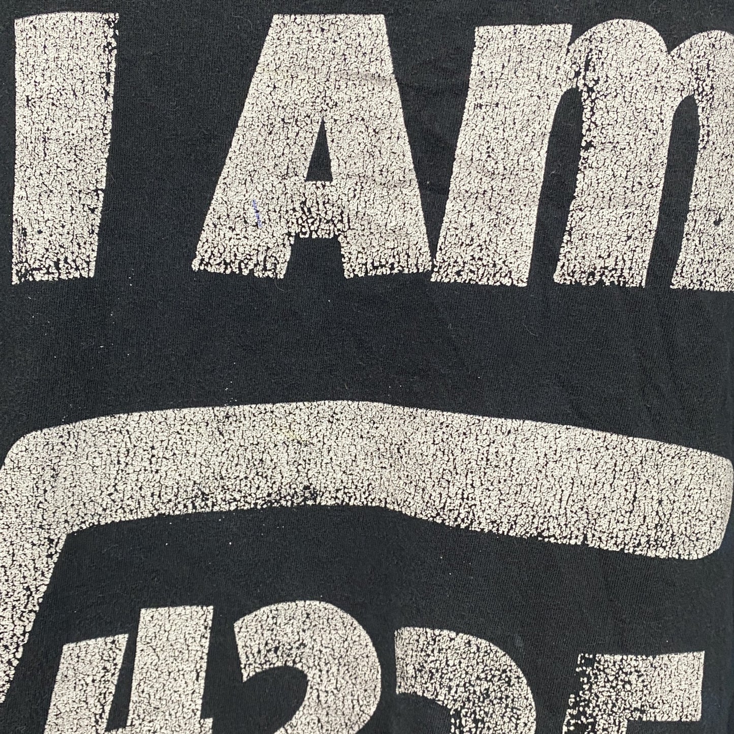 ANVIL　アンヴィル　半袖プリントTシャツ　年齢T　ルート　4連プリント　黒　ブラック　Lサイズ