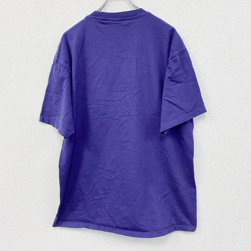 00s　NFL　エヌエフエル　半袖プリントTシャツ　ミネソタバイキングス　チームT　ヴィンテージ　紫　パープル　Lサイズ