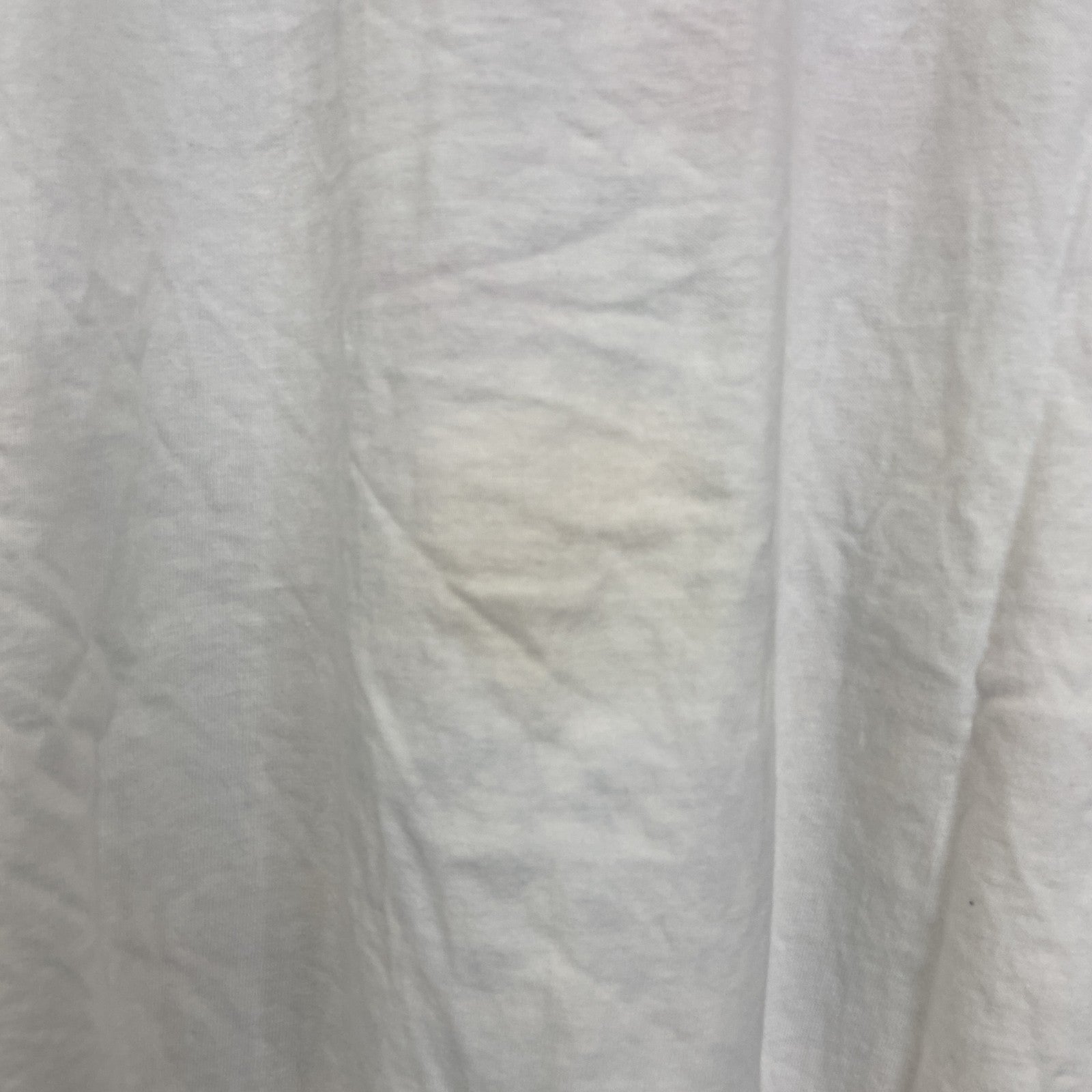 古着 used　Hanes　ヘインズ　半袖プリントTシャツ　ペプシコーラ　シングルステッチ　90s　クルーネック　白　Lサイズ