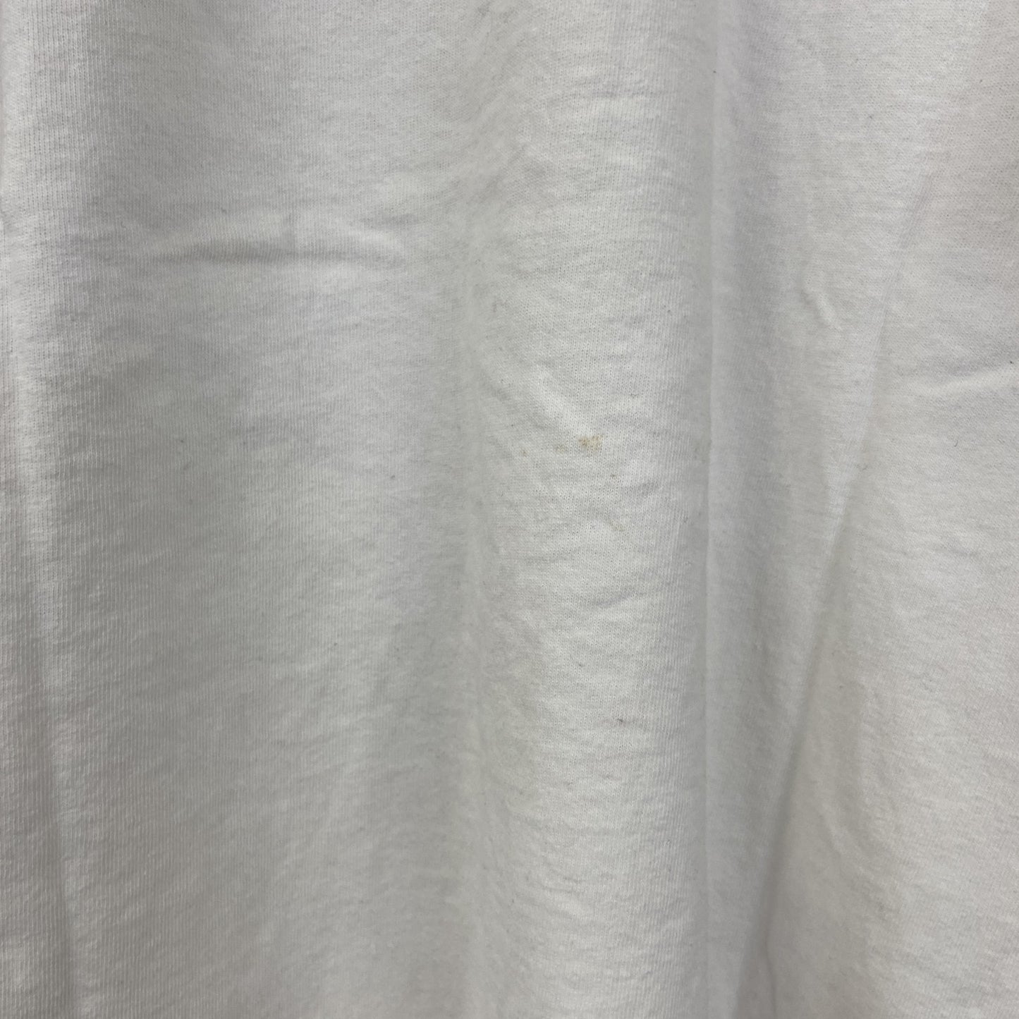 古着 used　ALPZ　アルプツ　半袖プリントTシャツ　白　カジュアルデザイン　クルーネック　シングルステッチ　90s　Lサイズ