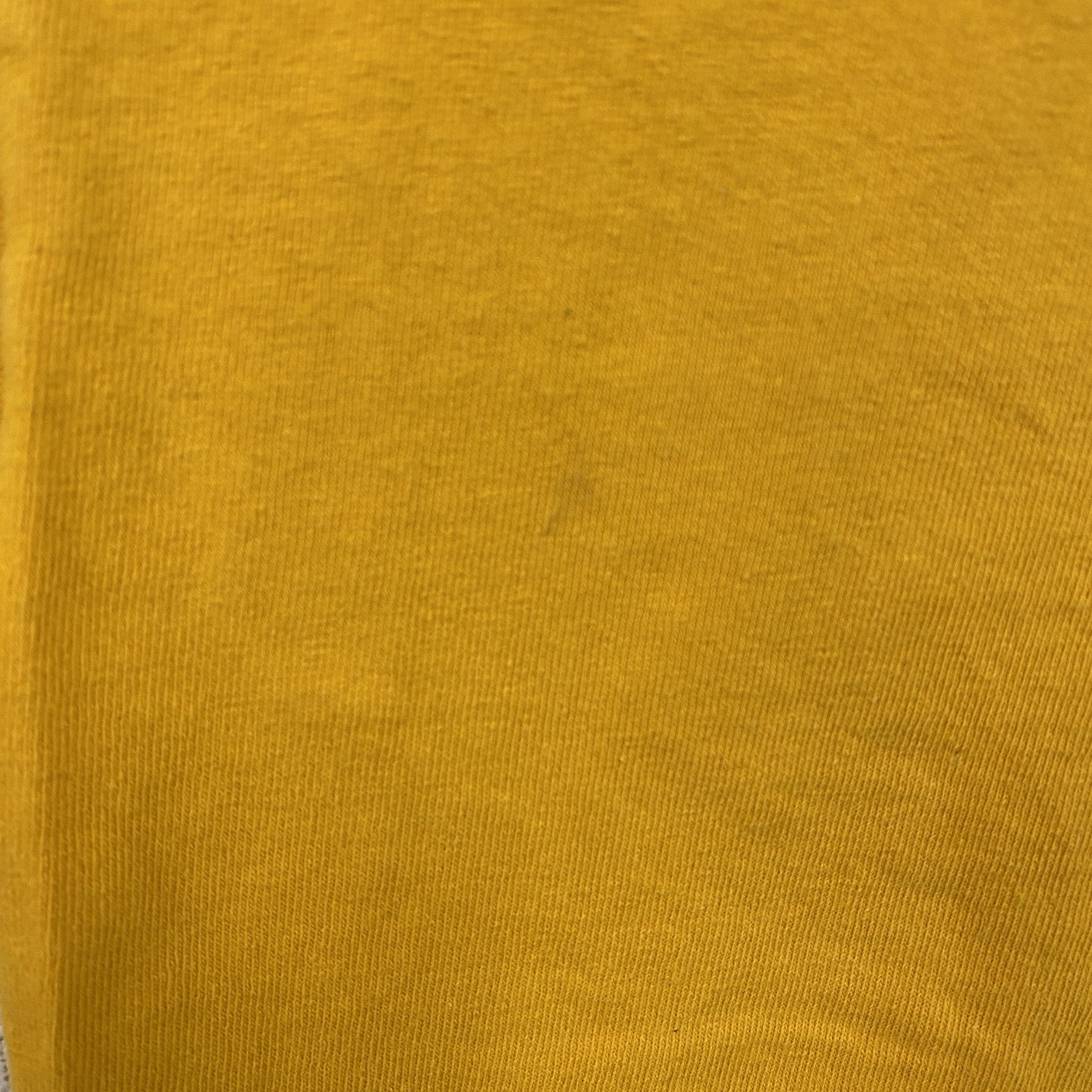 SANTA CRUZ　サンタクルーズ　半袖プリントTシャツ　黄色　イエロー