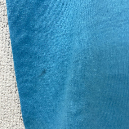 古着 used　JERZEES　ジャージーズ　半袖プリントTシャツ　羊　カジュアル　ブルー　シングルステッチ　90s　Lサイズ