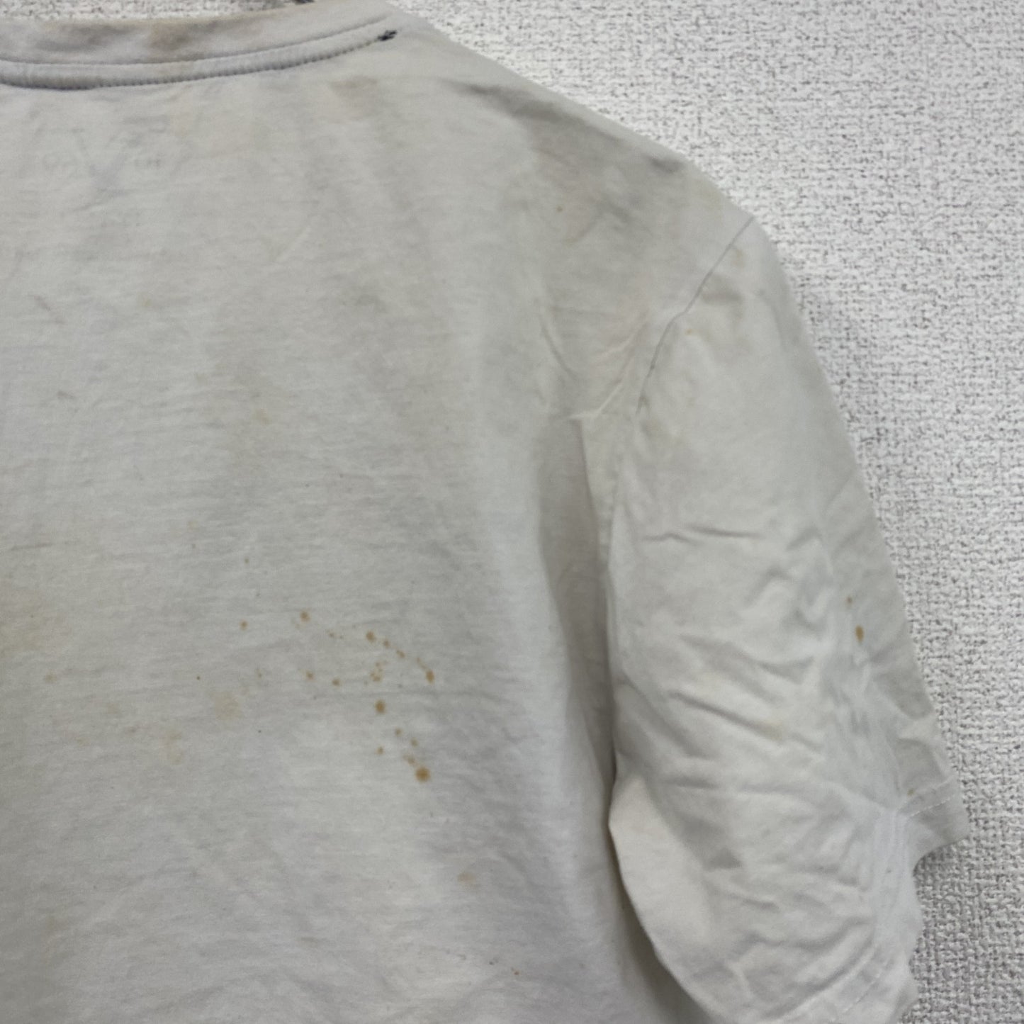 19V69 ITALIA　半袖プリントTシャツ　アニマルT　ライオン　白　ホワイト　Sサイズ