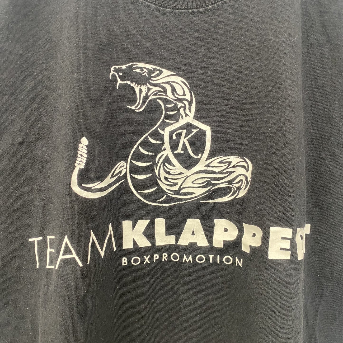 古着 used　フルーツオブザルーム　半袖アニマルプリントTシャツ　黒　ブラック　蛇柄　ヘビ柄　クルーネック　Lサイズ