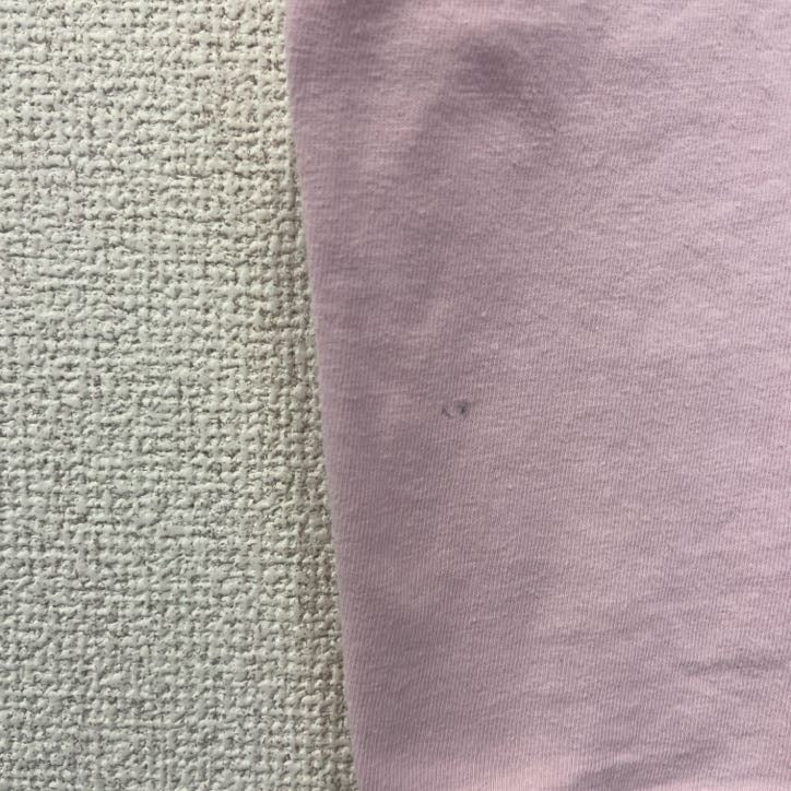 古着 used　90s　Hanes ヘインズ　半袖魚プリントTシャツ　漢字　シングルステッチ　ヴィンテージ　ピンク　Lサイズ