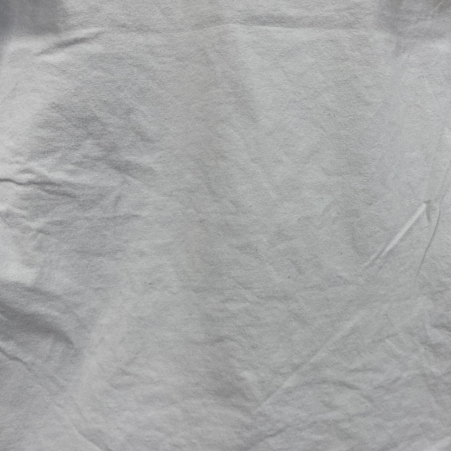 GILDAN　ギルダン　半袖プリントTシャツ　resistance　クルーネック　白　ホワイト　Mサイズ