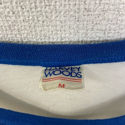 古着 used　半袖プリントTシャツ　90s　シングルステッチ　ラグラン　クルーネック　レトロ　白　青　ホワイト　Mサイズ