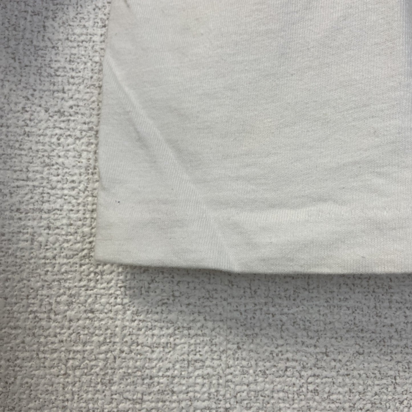 古着 used　半袖プリントTシャツ　90s　ARIZONA　シングルステッチ　クルーネック　レトロ　白　青　ホワイト　Lサイズ