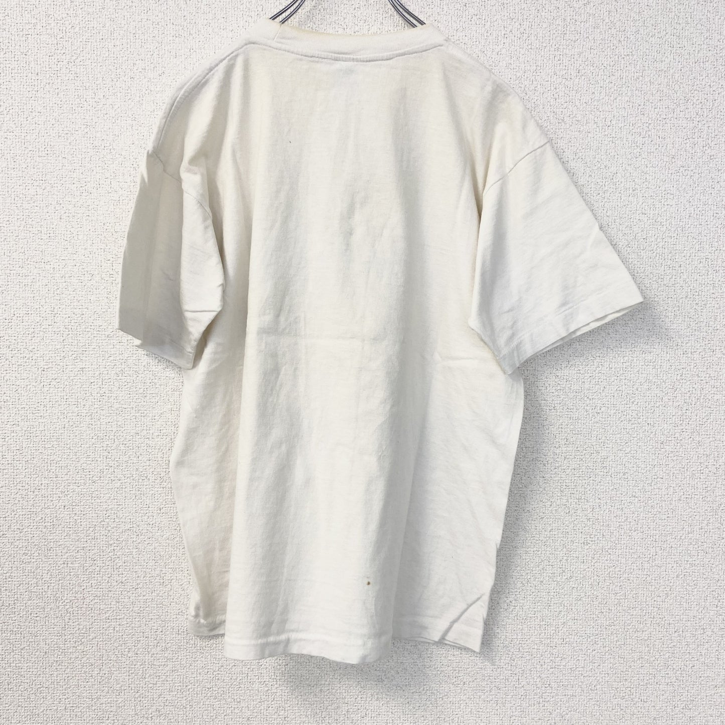 古着 used　半袖プリントTシャツ　90s　ARIZONA　シングルステッチ　クルーネック　レトロ　白　青　ホワイト　Lサイズ
