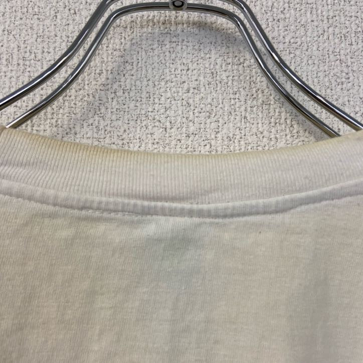 古着 used　半袖プリントTシャツ　90s　ARIZONA　シングルステッチ　クルーネック　レトロ　白　青　ホワイト　Lサイズ