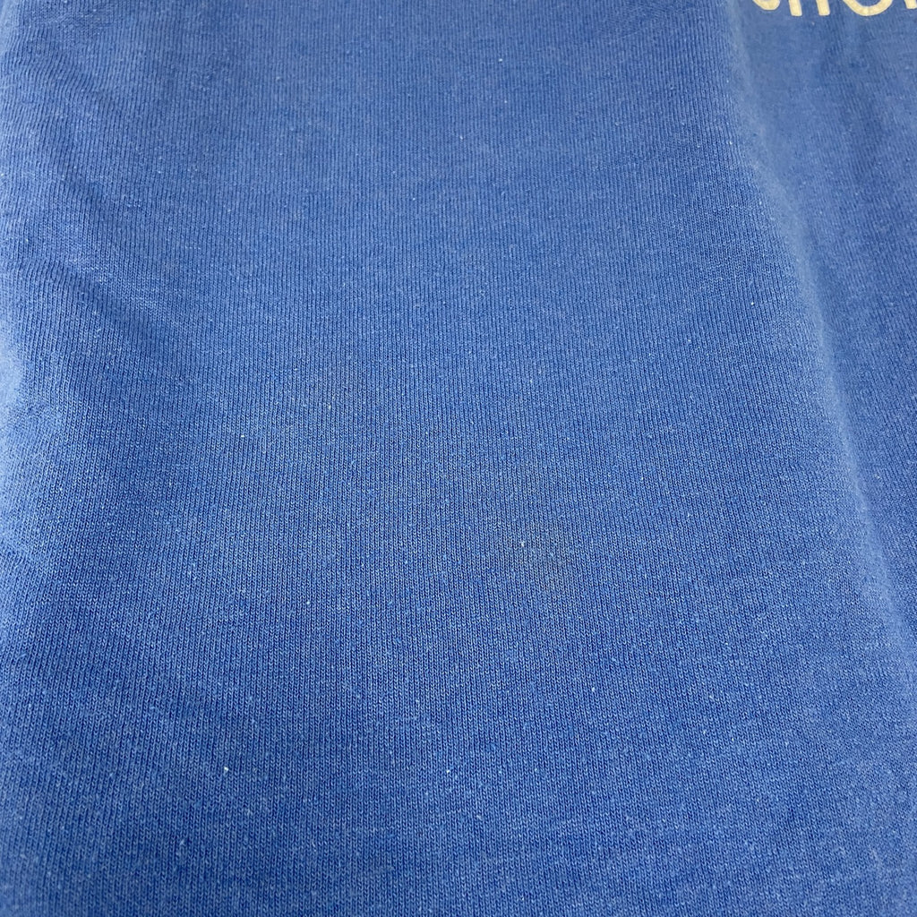 Hanes　ヘインズ　半袖プリントＴシャツ　青　ブルー　XLサイズ