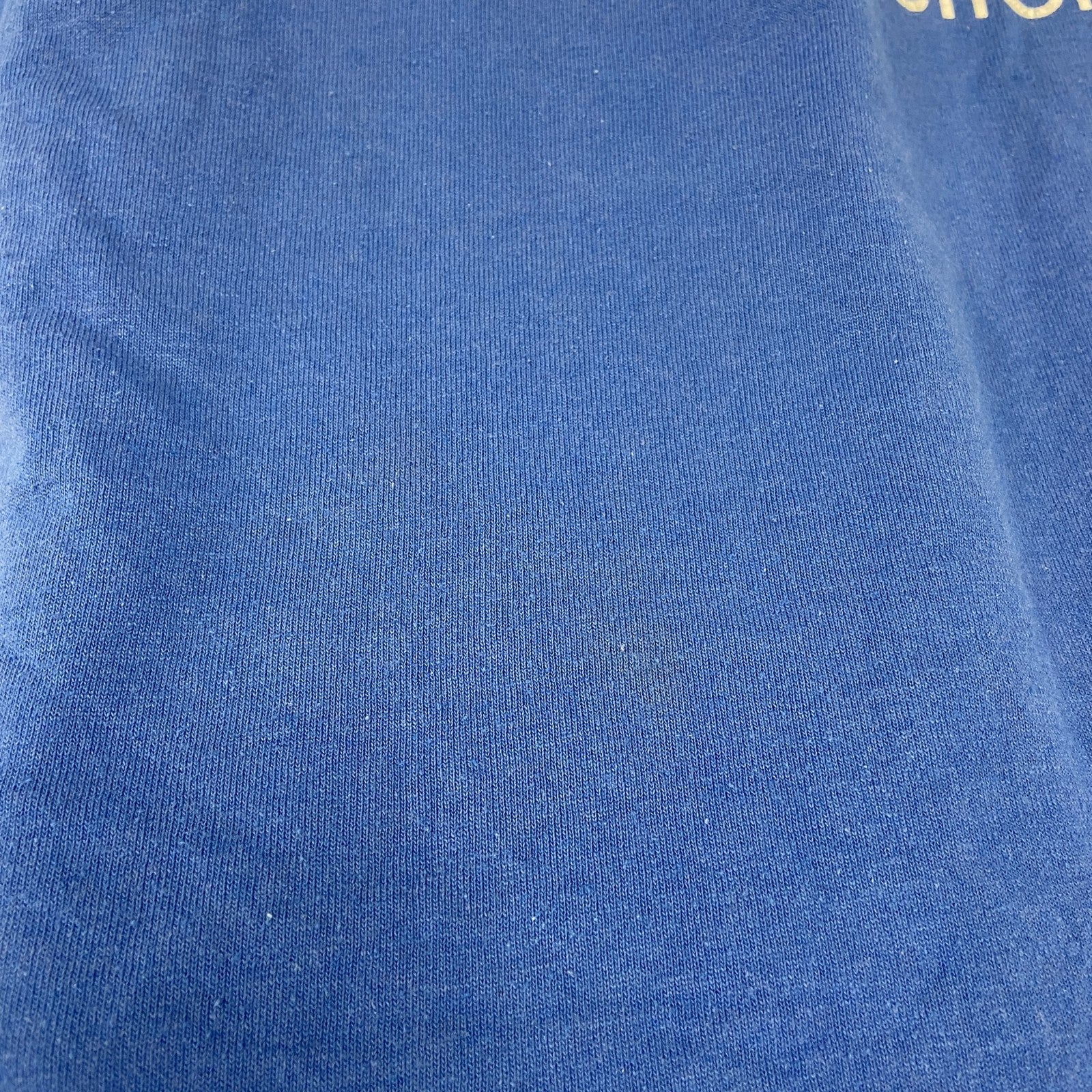 Hanes　ヘインズ　半袖プリントＴシャツ　青　ブルー　XLサイズ