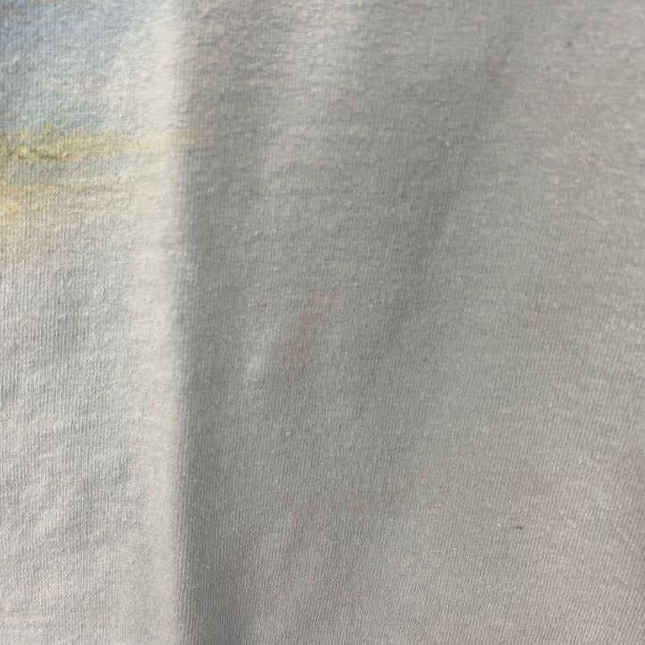 古着 used　GILDAN　半袖プリントTシャツ　ケニーチェズニー　音楽　カントリー　水色　レトロデザイン　Mサイズ