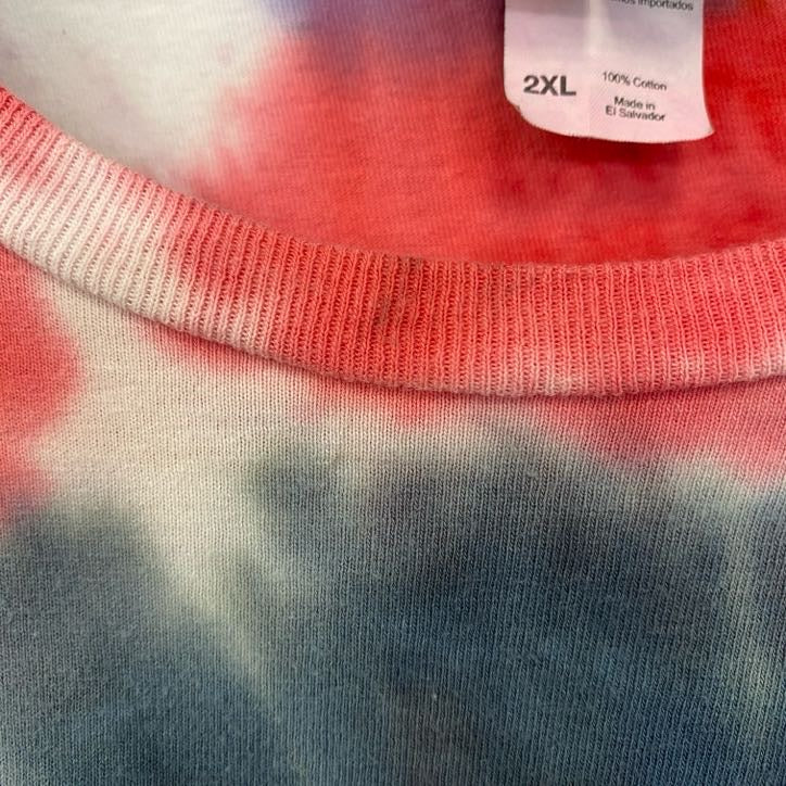 古着 used　LYNYRD SKYNYRD　半袖プリントバンドTシャツ　レトロデザイン　タイダイ柄　クルーネック　XXLサイズ
