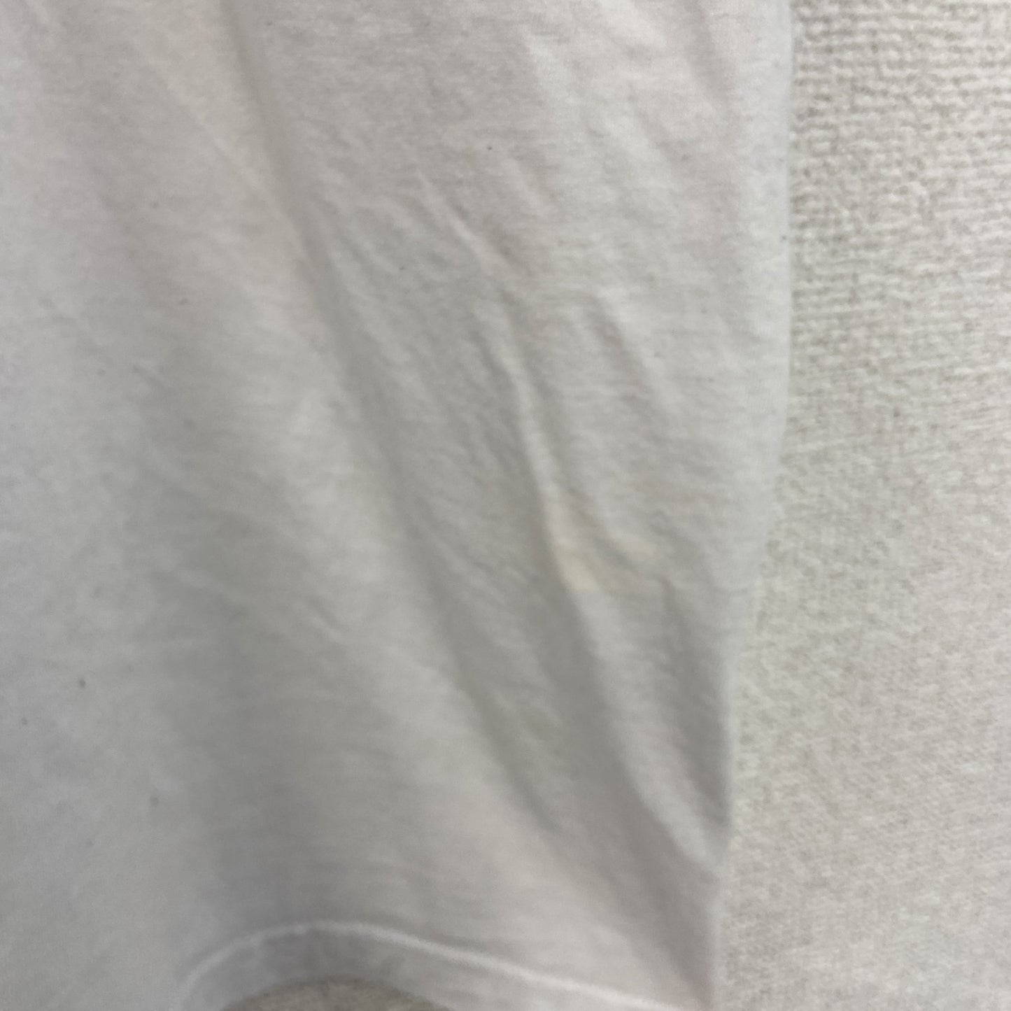 古着 used　FURUIT OF THE LOOM　半袖プリントTシャツ　バタフライ　クルーネック　カジュアル　白　XLサイズ