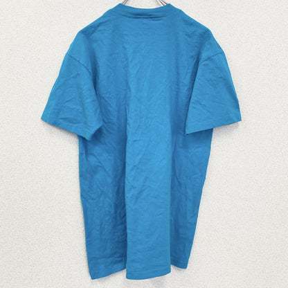 古着 used　anvil　アンビル　半袖プリントTシャツ　シングルステッチ　ブルー　ギャラクシー　地球　Lサイズ