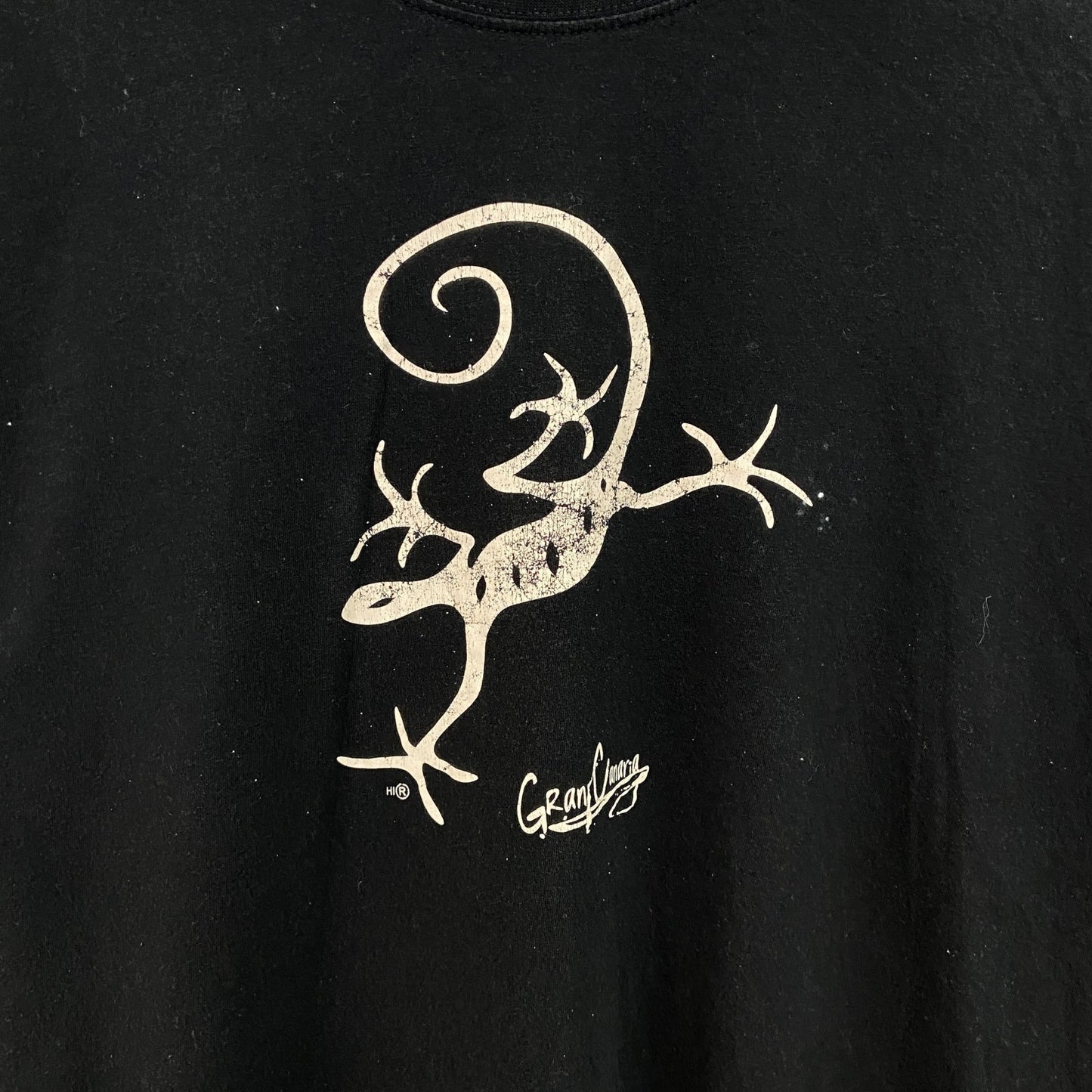 古着 used　TEES FACTORY　半袖プリントTシャツ　トカゲ　カジュアルデザイン　黒　ブラック　クルーネック　Lサイズ