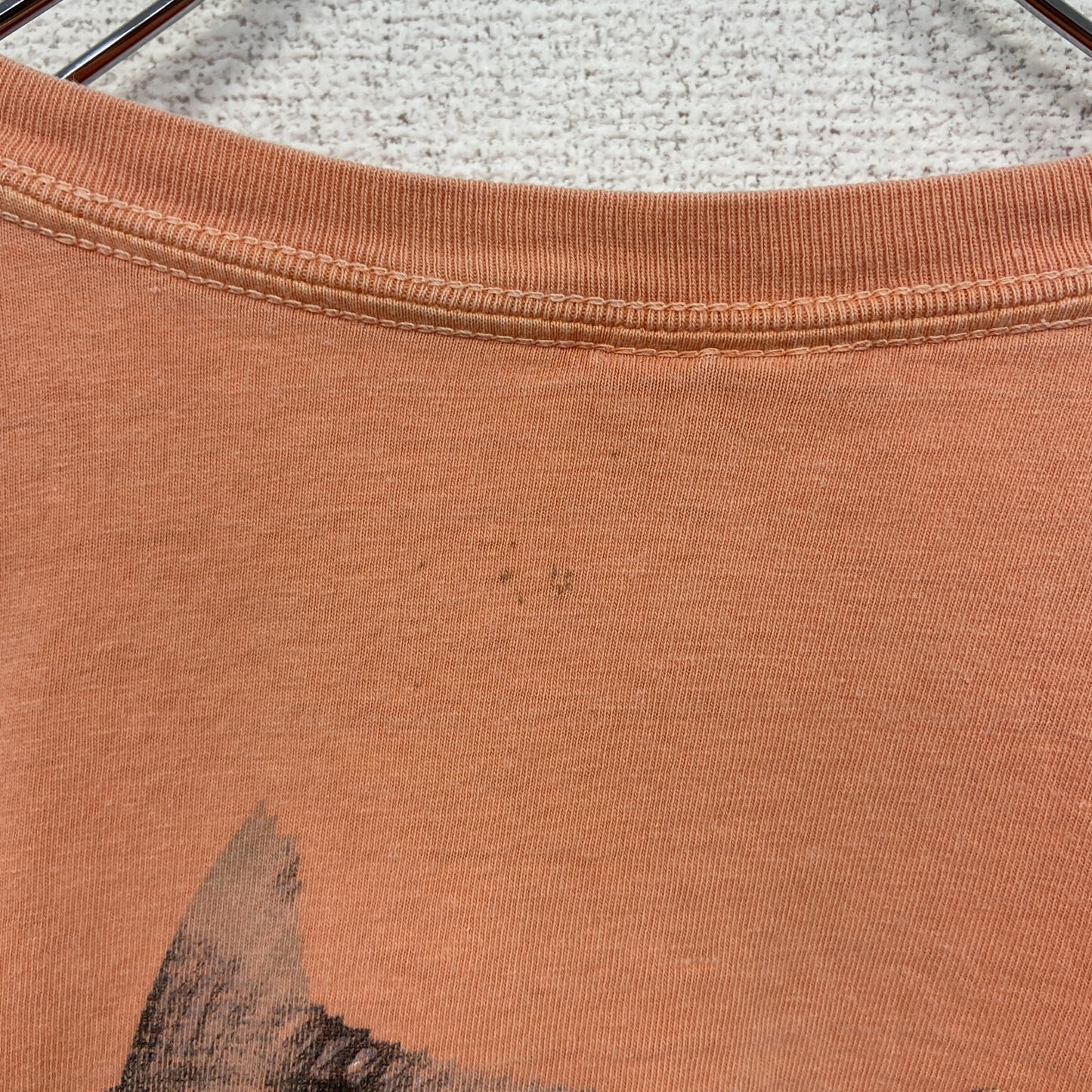 古着 used　COMFORT COLORS　半袖プリントTシャツ　魚　カジュアルデザイン　レトロ　オレンジ　クルーネック　Lサイズ