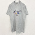 80s～　Screen Stars　スクリーンスターズ　半袖Tシャツ　シングルステッチ　刺繍ロゴ　霜降りグレー　Mサイズ