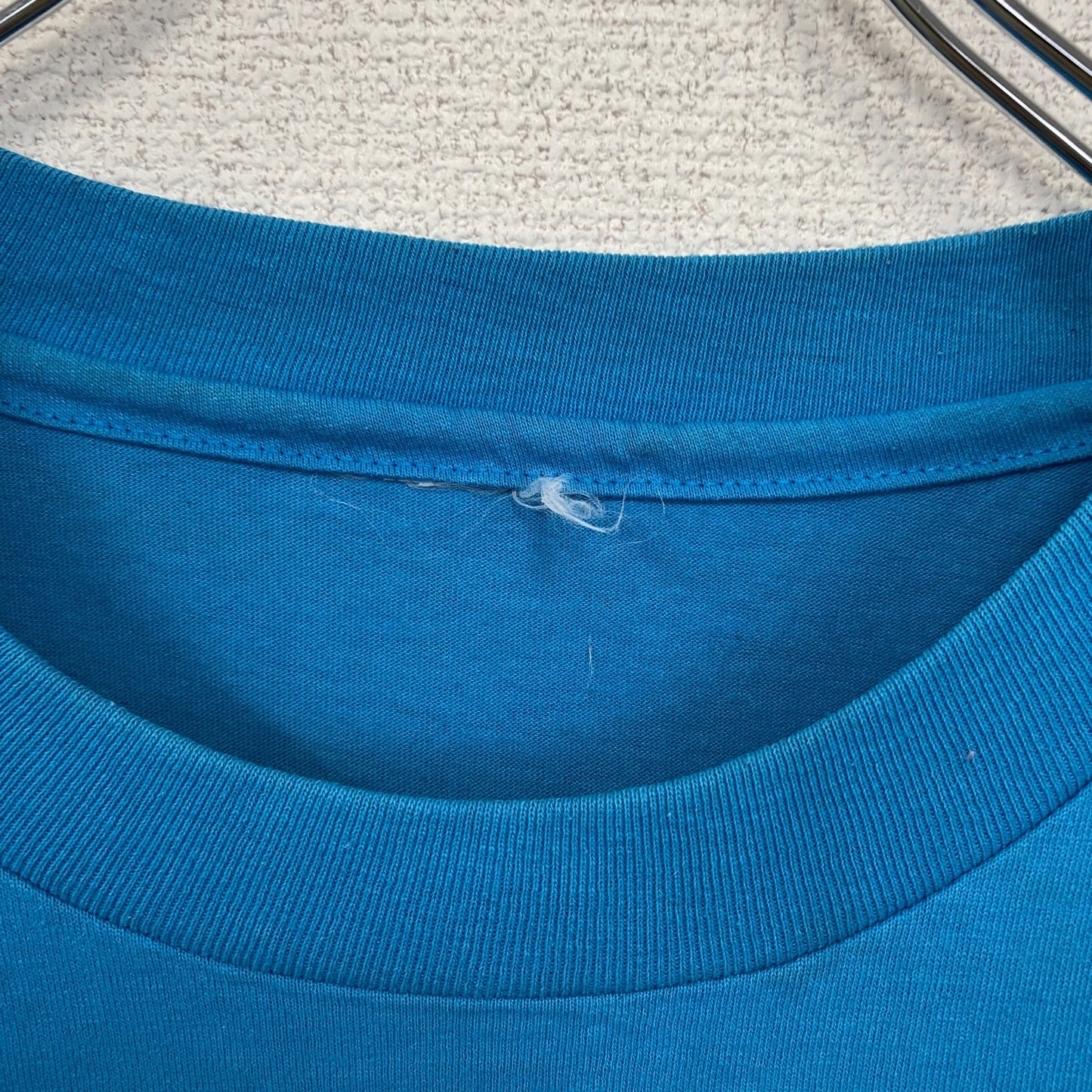 古着 used　半袖プリントTシャツ　アニマル　鳥　バード　港　シングルステッチ　水色　ブルー　クルーネック