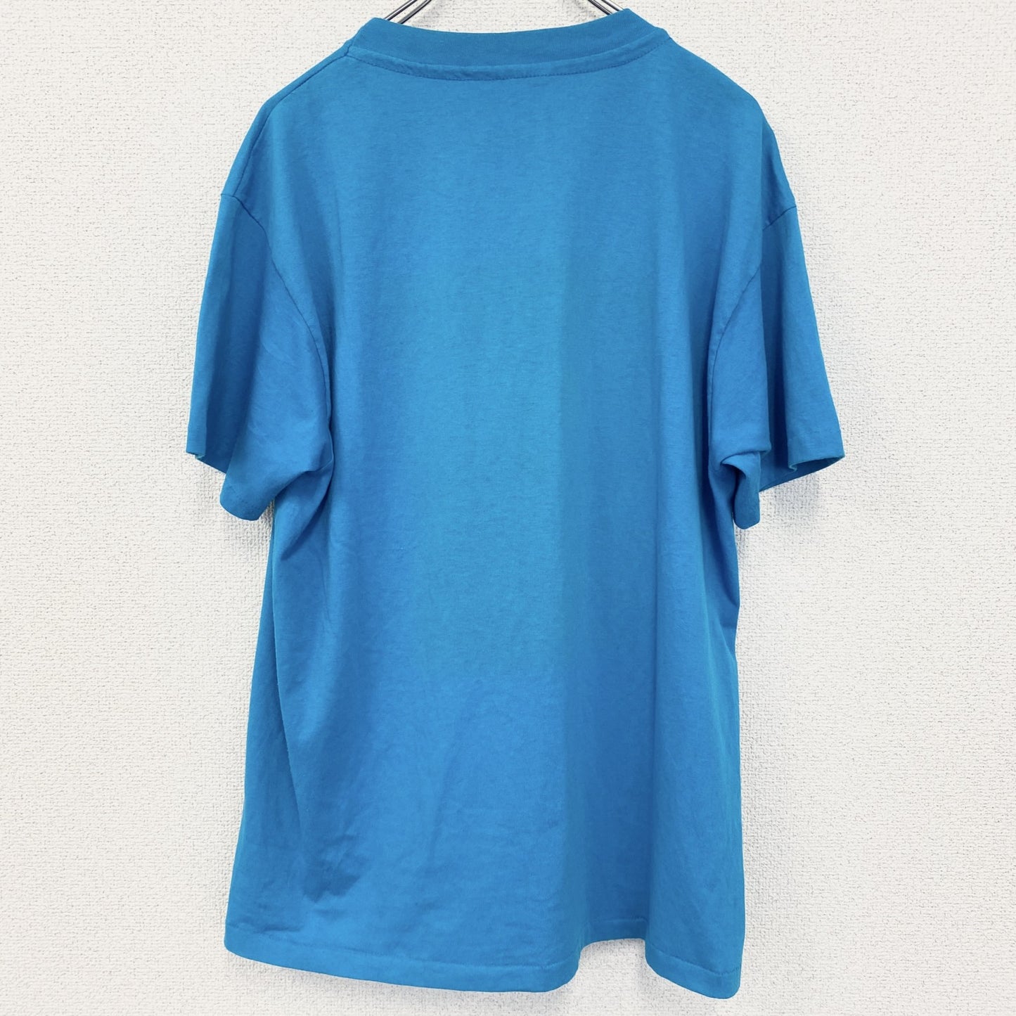 古着 used　半袖プリントTシャツ　アニマル　鳥　バード　港　シングルステッチ　水色　ブルー　クルーネック