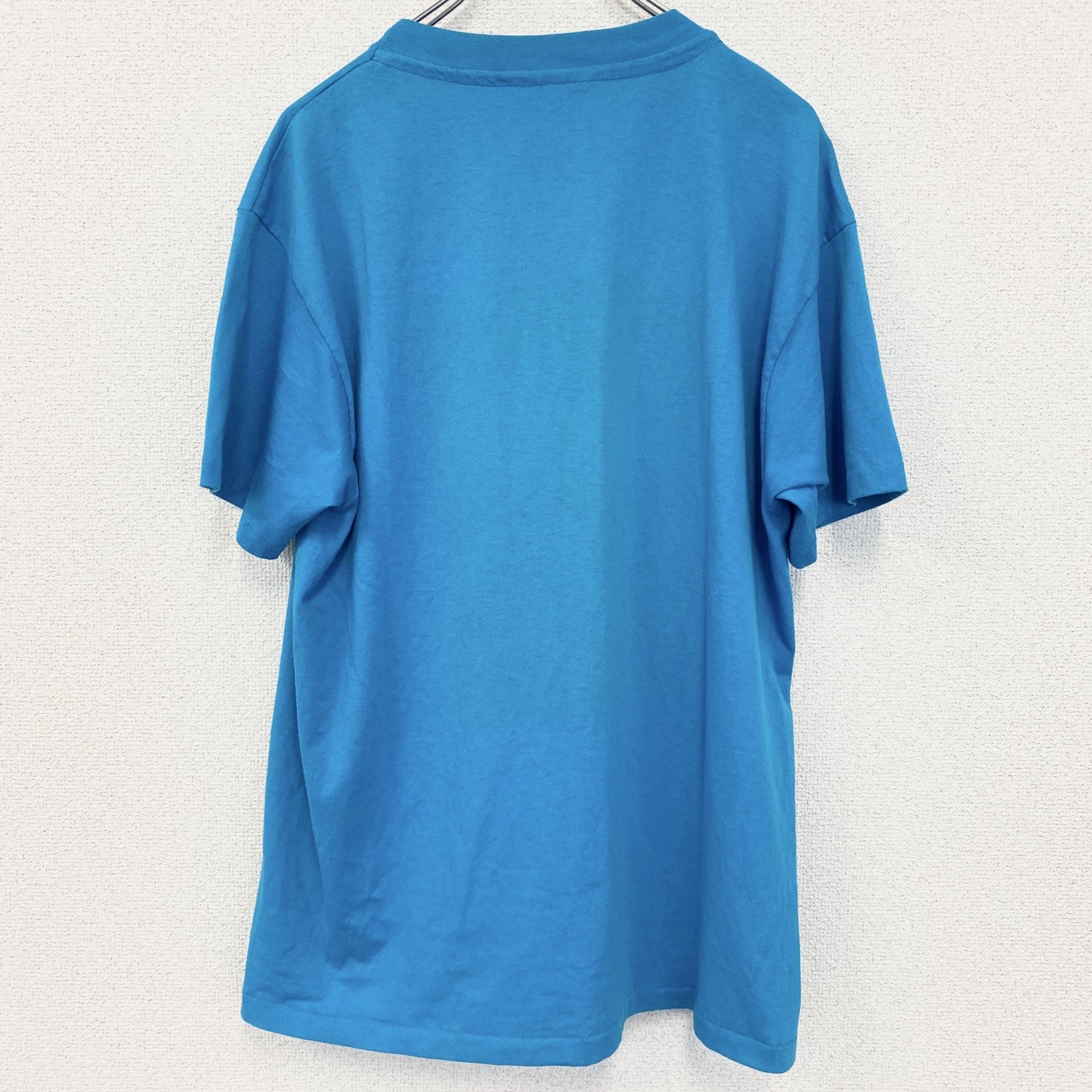 古着 used　半袖プリントTシャツ　アニマル　鳥　バード　港　シングルステッチ　水色　ブルー　クルーネック