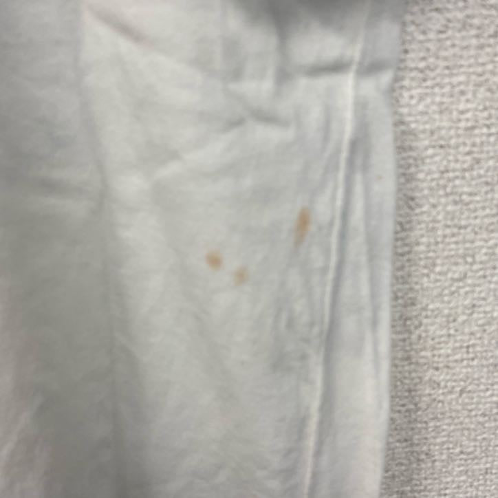 古着 used　90s　半袖プリントTシャツ　シングルステッチ　ヴィンテージ　エジプト　クルーネック　レトロ　白　ホワイト　