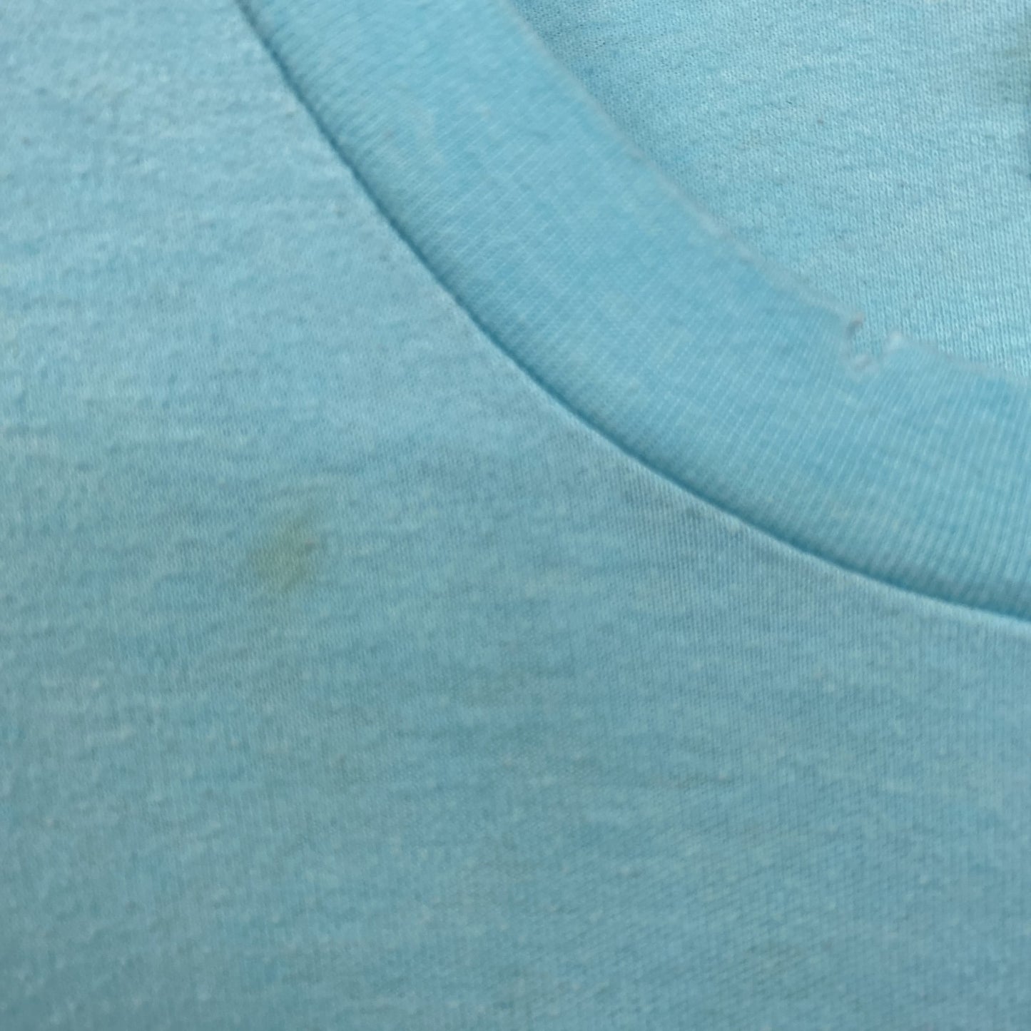 古着 used　半袖プリントTシャツ　90s　シングルステッチ　ヴィンテージ　クルーネック　レトロ　ライトブルー　水色　Lサイズ