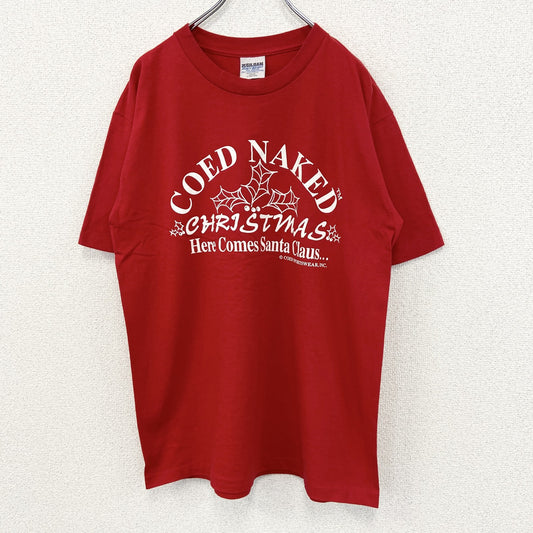 古着 used　GILDAN ギルダン　半袖プリントTシャツ　90s　赤　レッド　シングルステッチ　クルーネック　Lサイズ